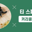 한국티스페셜리스트협회