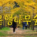 아주나무카페 이미지