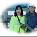 굿모닝여행사 - 금천구 디지털로 121 | 굿모닝여행사