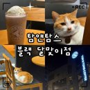 탐앤탐스 블랙 | «카페» 부산 해운대 24시 카페, 탐앤탐스 블랙달맞이점｜미숫크림 탐앤치노 가격·영양정보·후기