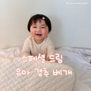 드림빅 | 유아베개 추천 11개월 아기 사용해본 스페셜드림 유아경추베개 후기