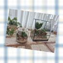 자원순환교육지도사 | 대전천안전주,통계청 직원 힐링 프로그램,나만의 작은 숲 ‘테라리움’ 만들기 수업 후기