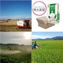 현대 라이스 위탁 영농조합법인 이미지