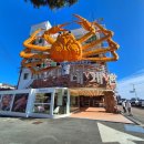 CU 영덕강구대게로점 | 영덕 대게궁 대게 풀코스 내 돈 내산 솔직 후기