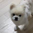 11월의 일상 5