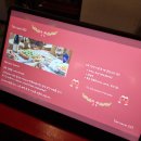 222 | 경복궁 광화문 세종문화회관 근처 맛집 테라스222 솔직후기