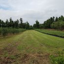 강산골프연습장 이미지