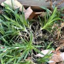 한스메디팜 이미지