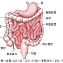 (인체미생물) 05. 미생물이 하는 일 이미지