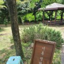 서홍동 서귀포 보건소 옆 이미지