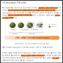 지투지 | 펩트론, 인벤티지랩, 지투지바이오 : 장기지속형 주사제, 롱액팅 기술