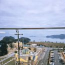 해동수산회센터 | [공지] 진도아리랑회센터 고래수산 쥐치회 가격 후기 (쏠비치 숙소에서 먹은)