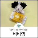 비비필름