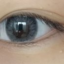 다본안경 위드렌즈 이미지