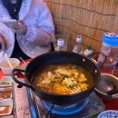홍등초장