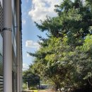 삼우농장 이미지