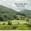 을수골별빛계곡 이미지