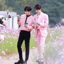 깅코 이미지