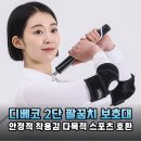 배드민턴 2 | 가성비 끝판왕 디베코 2단 팔꿈치 보호대 배드민턴 엘보 예방 후기
