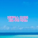 효산서브 | 지금 우리 학교는 시즌1 지루하지 않았던 액션 드라마
