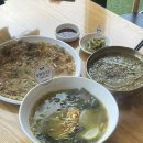 제주 보말칼국수 보말죽 성산봄죽칼국수 성산점 후기