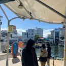 단천마을회관 | 백수일기:) 속초는 오징어뿐…?