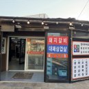 오가돈