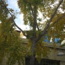 용산-137 이미지