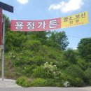 용정가든 이미지