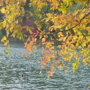 오크랜드 이미지