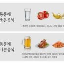 통풍 증상 고통 원인 통풍 좋은 음식 금지음식 이미지