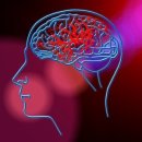 일등한의원 이미지