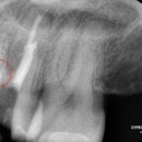 예성윤치과의원 이미지