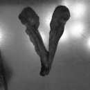 다나아 동물병원 이미지