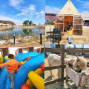 300성인PC게임방 | 용인 바베큐 캠핑야미 300평 에어바운스 있는 서울근교 캠핑식당