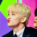 뮤직리조트 이미지