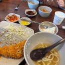 정드림고트