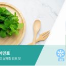 케이맘바 이미지