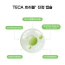 청소년 여드름 세럼 추천 아비브 어성초 테카 캡슐 세럼 후기