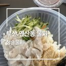 청솔횟집 - 홍천군 연봉서로 43 | [부산 연제구 연산동] 물회 맛집 청솔물회 내돈내산 포장 후기