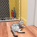 지니펜션2 이미지