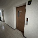 신내데시앙 이미지