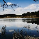 대정호수 이미지