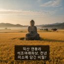 운용사석조여래좌상 | 익산 연동리 석조여래좌상, 천년 미소에 담긴 비밀?