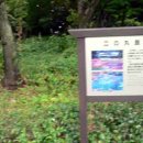 미노마루 이미지