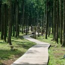 절물자연휴양림 이미지