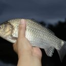 용대리낚시터 이미지