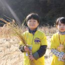 청운농촌체험마을 이미지