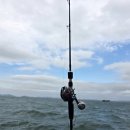 현주바다낚시(하하호호) | 인천항 쭈꾸미 낚시 제일바다낚시 하하호호 출조 3물 후기