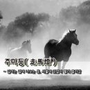 주마등 Daum카페